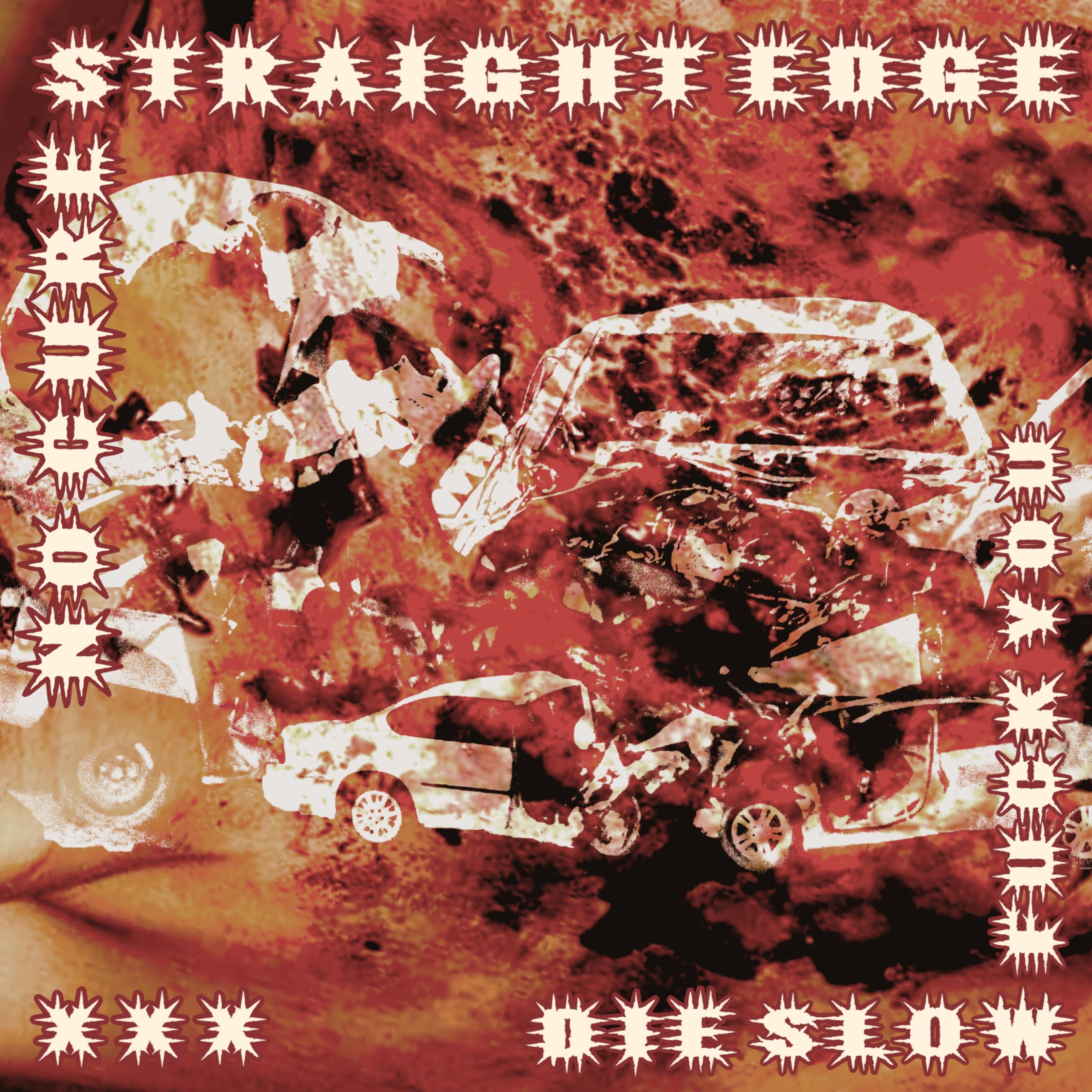 No Cure Straight Edge Die Slow F**k You - Single album cover