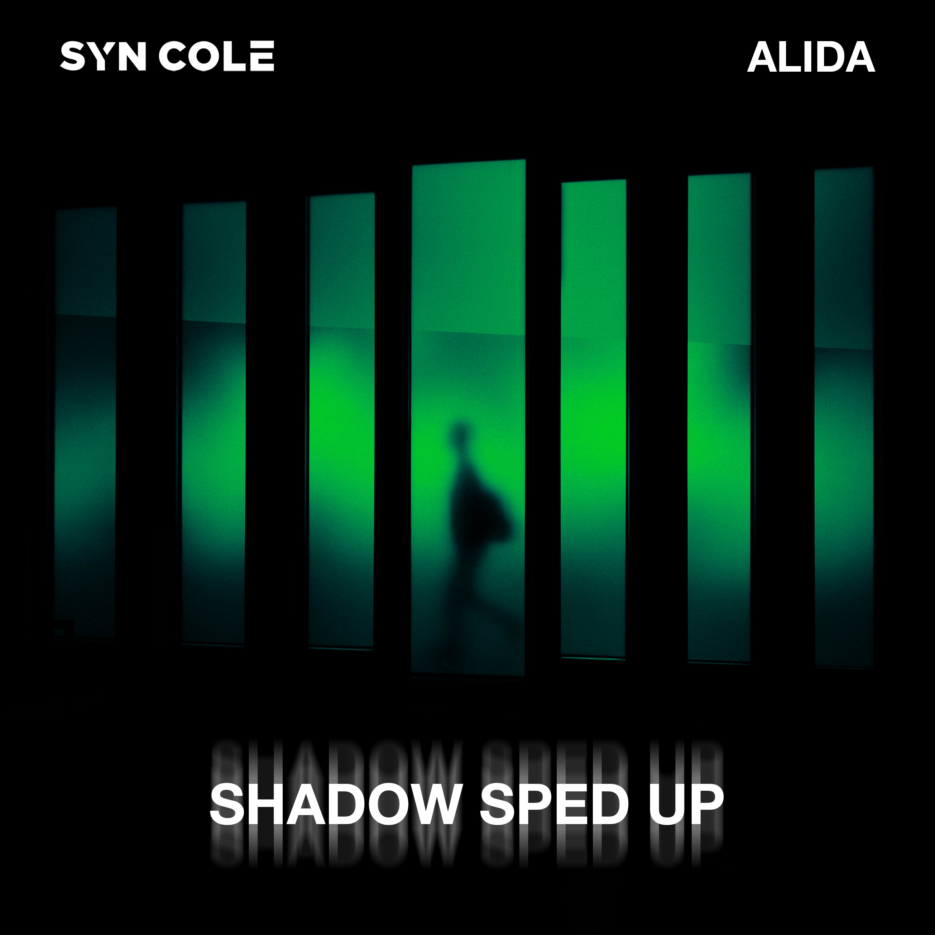 Shadow (feat. Alida) [Sped up Version] - Single album cover