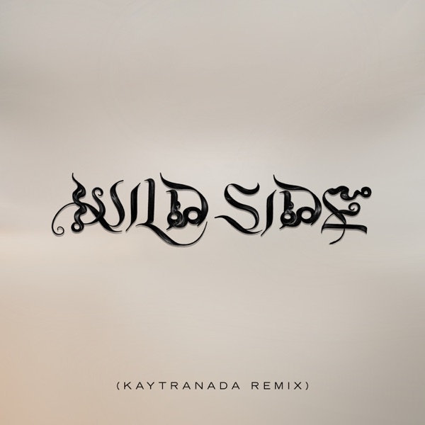 Wild Side (KAYTRANADA Remix) - Single album cover