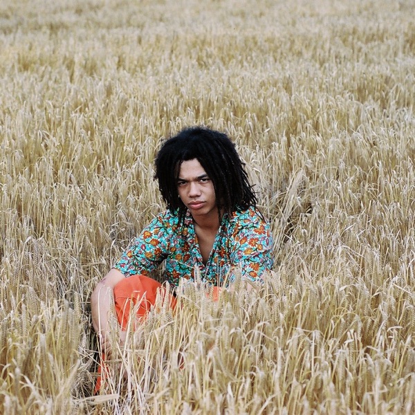 Great Dane (Radio Edit) - Single album cover
