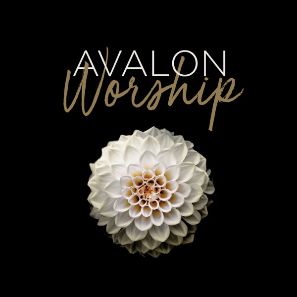 Worship album cover