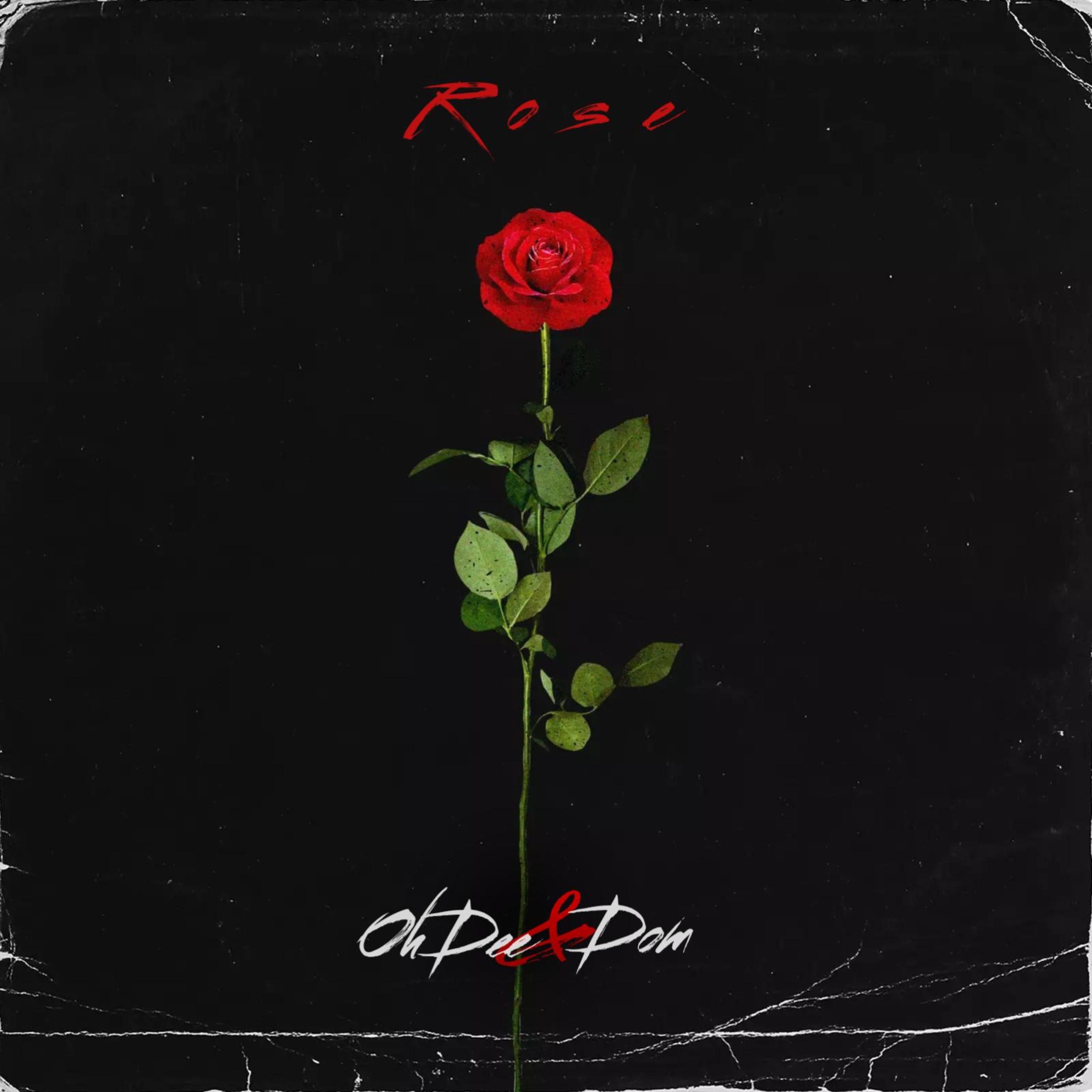 Rose (feat. Dom) - Single album cover