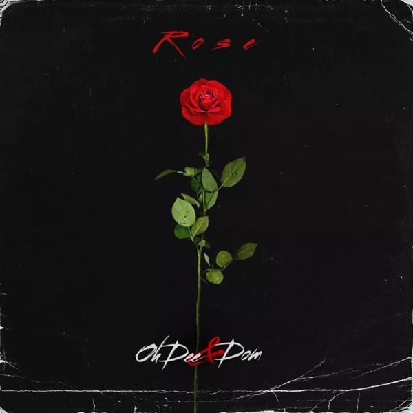 Rose (feat. Dom) - Single album cover