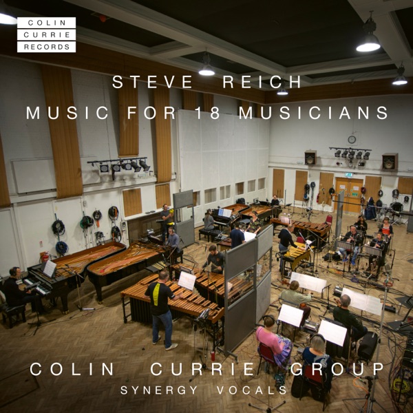 Steve Reich: Music for 18 Musicians: Section VI (Single Edit) - Single album cover