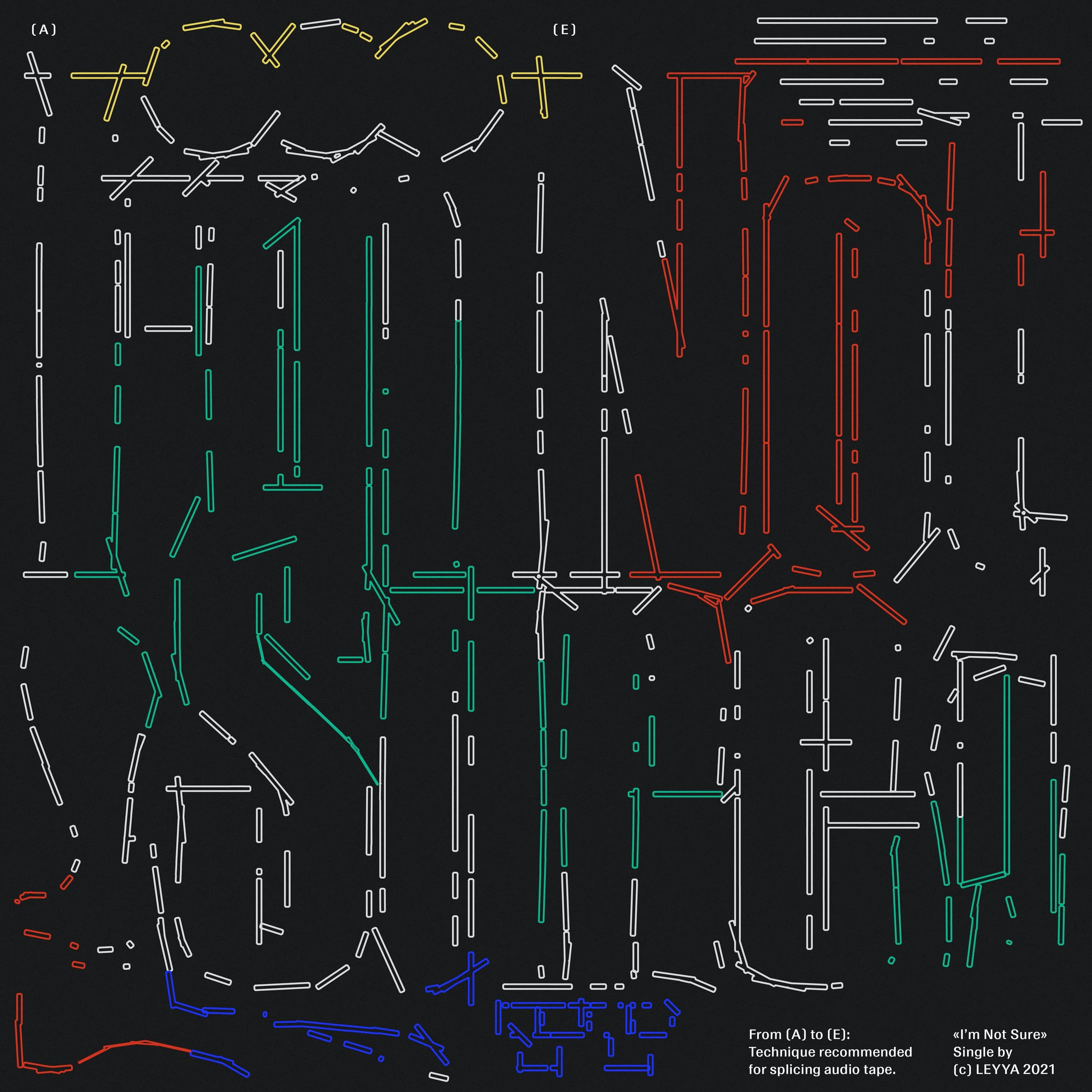 I'm Not Sure - Single album cover