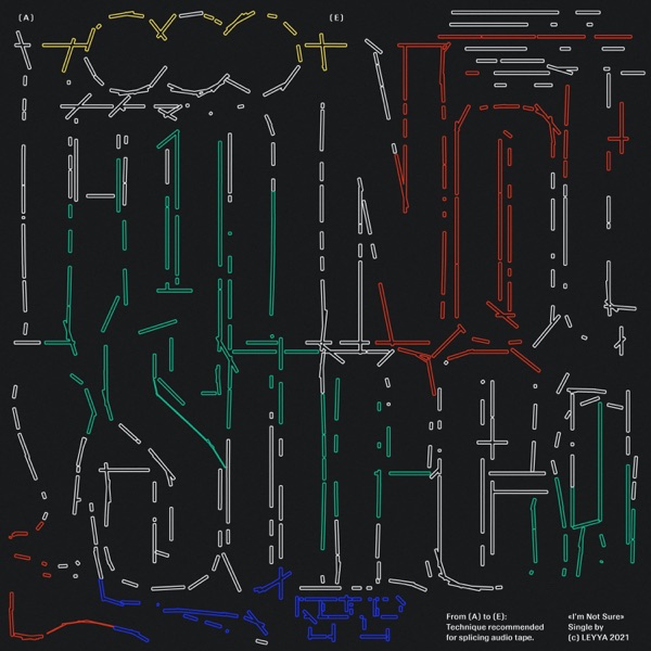 I'm Not Sure - Single album cover