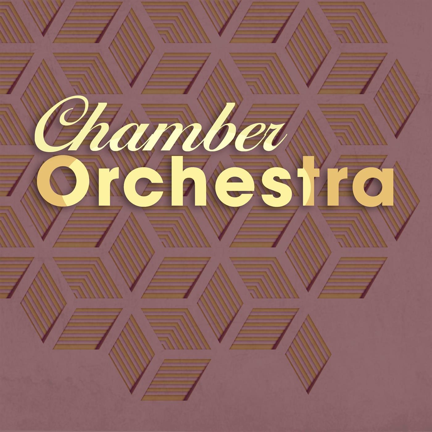 Chamber Orchestra album cover