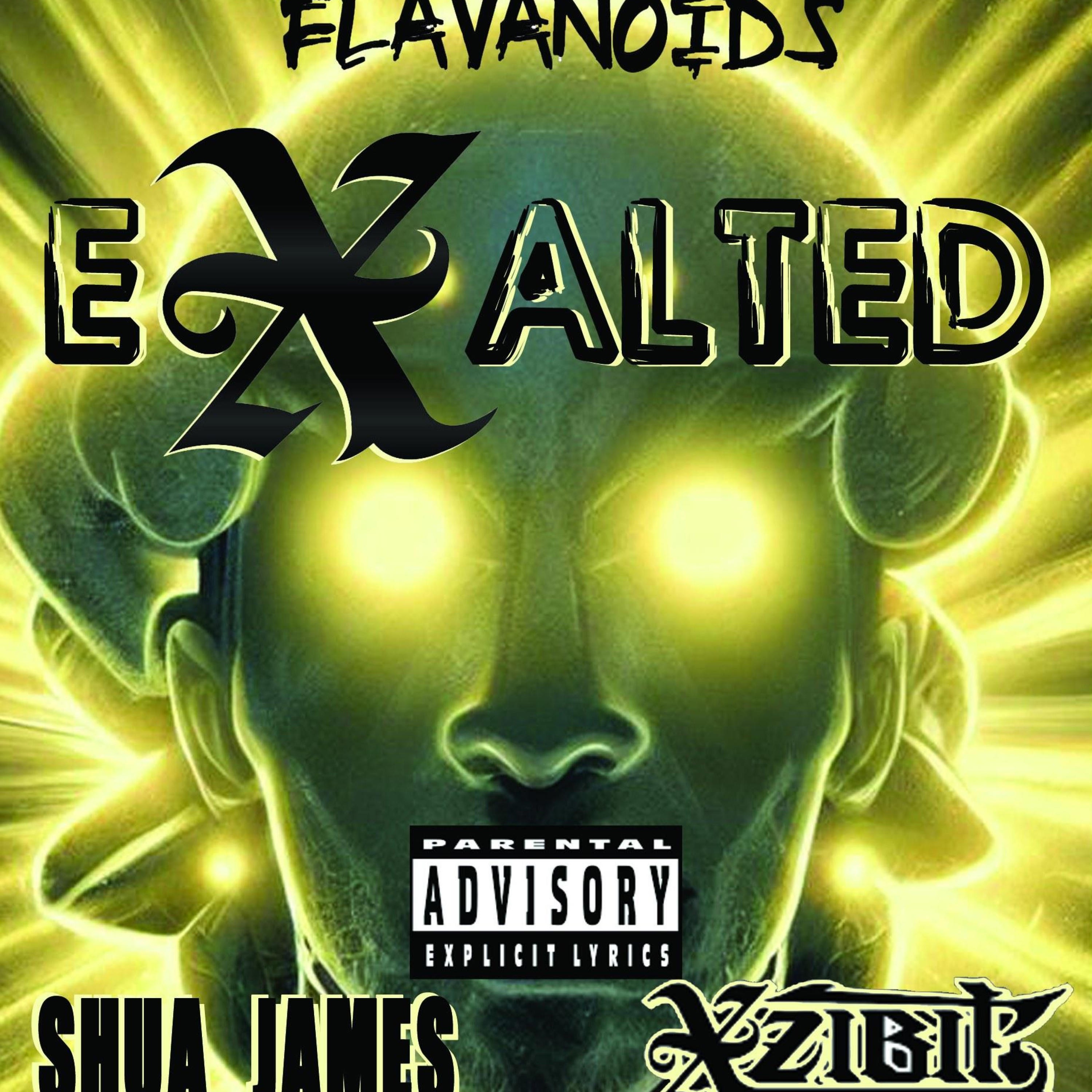 eXalted (feat. Xzibit & Shua James) - Single album cover