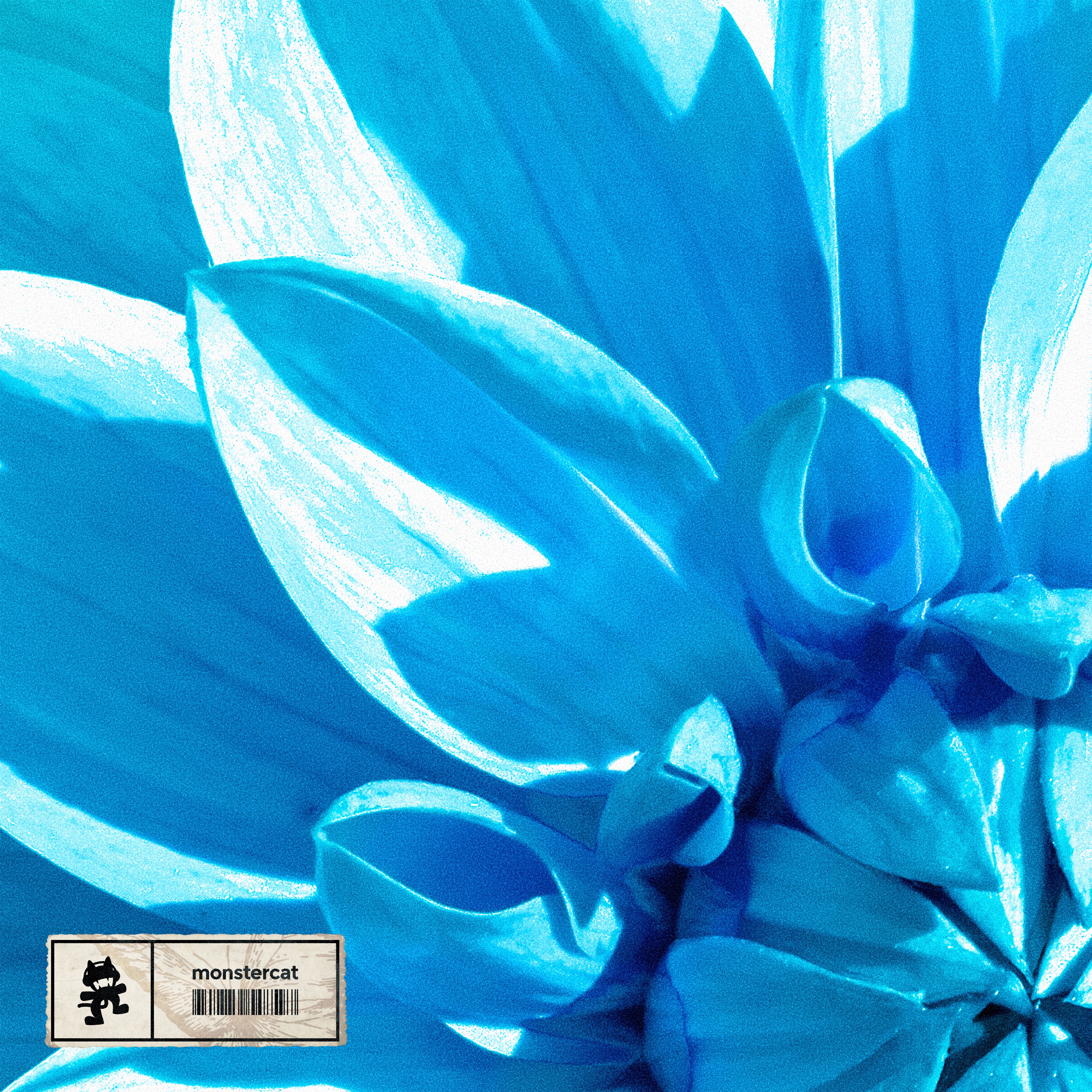 Let It Bloom - Single album cover