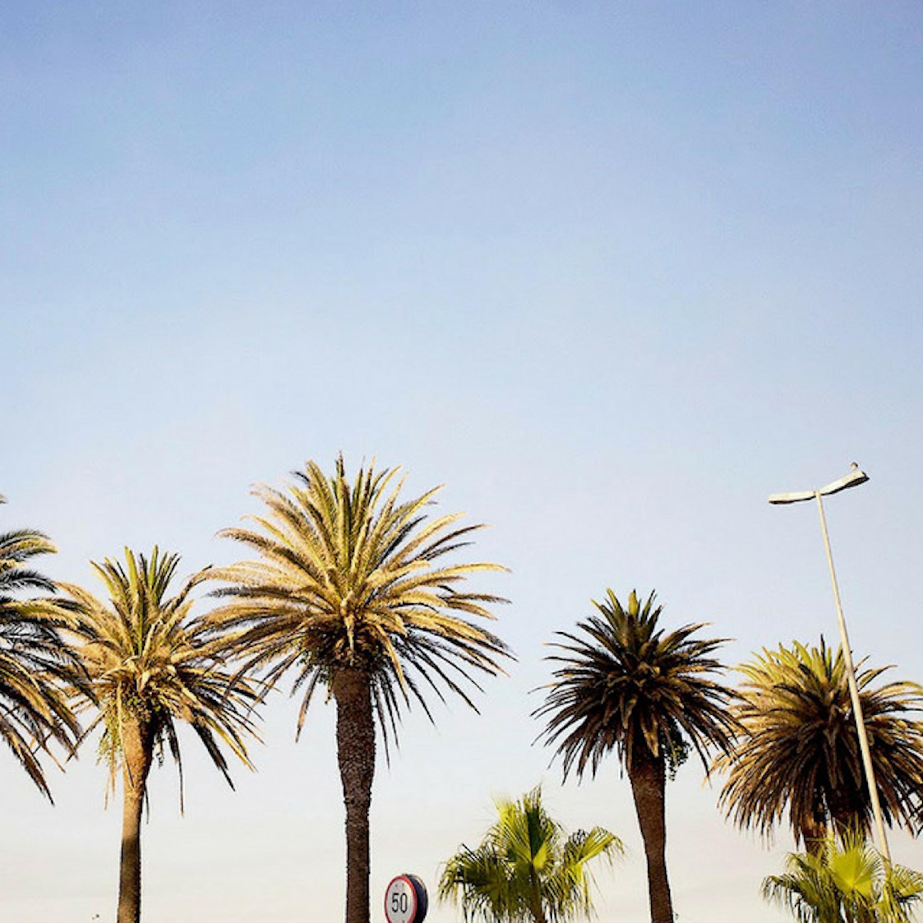 Know You - Single album cover