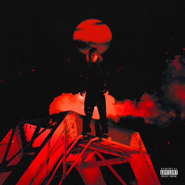 CARTEA JUNGLEI album cover