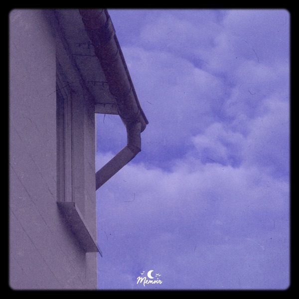 Dans Le Palais (brillion. Remix) - Single album cover