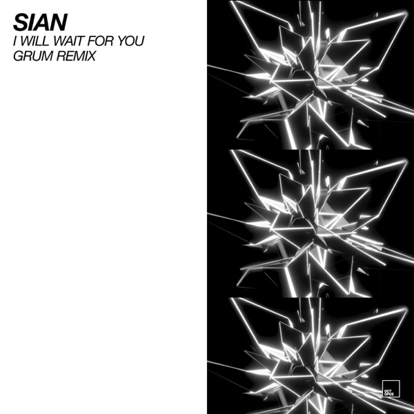 I Will Wait for You (Grum Remix) - Single album cover