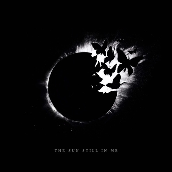The Sun Still In Me - Single album cover