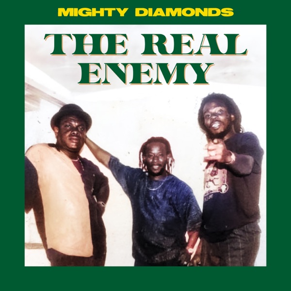 The Real Enemy album cover