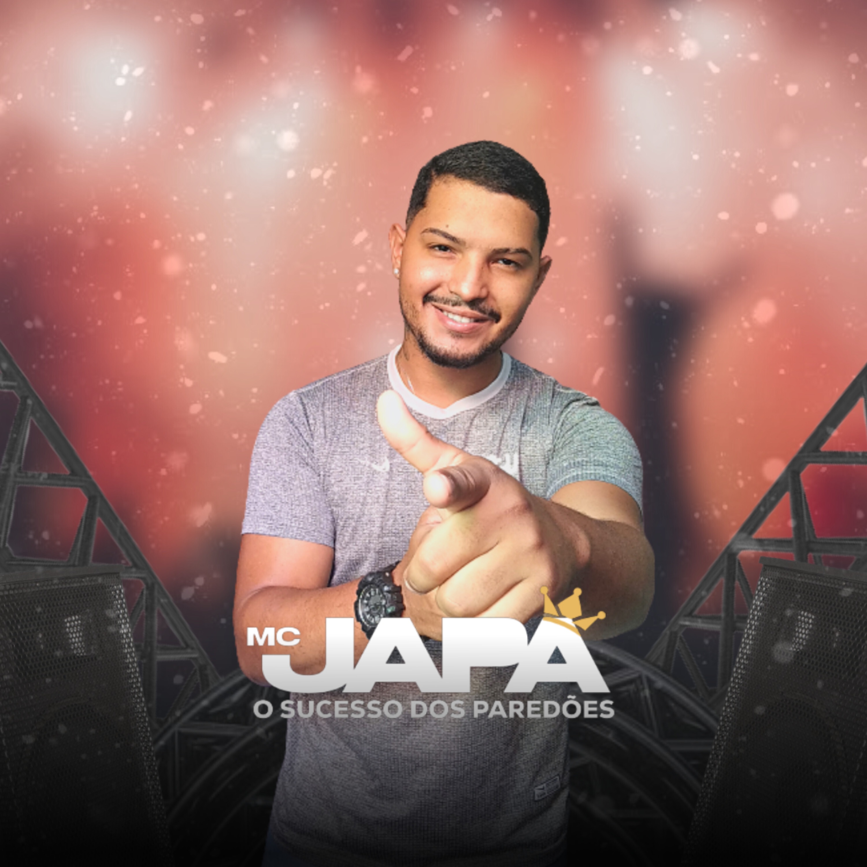 O Sucesso dos Paredões album cover