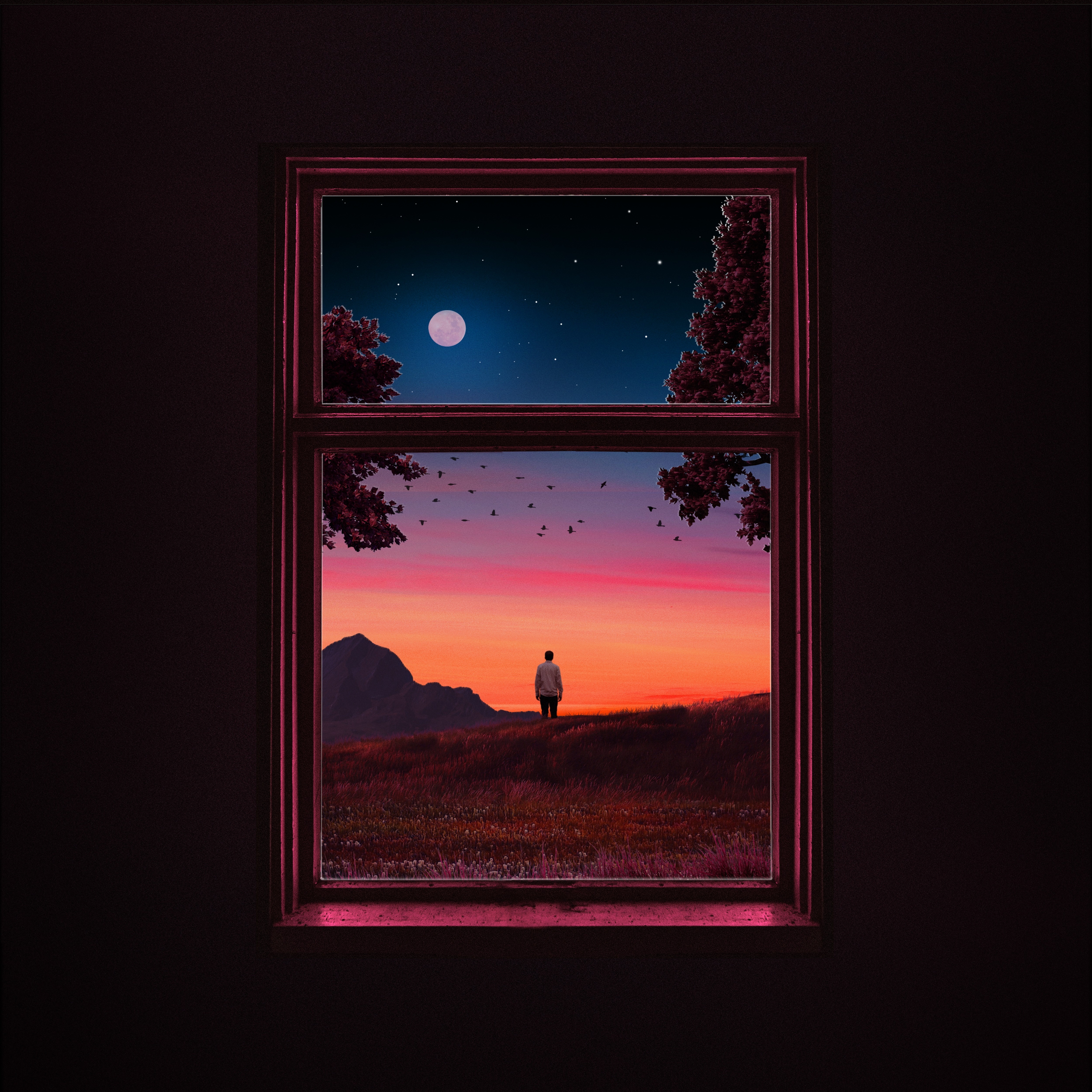 Stargazing album cover