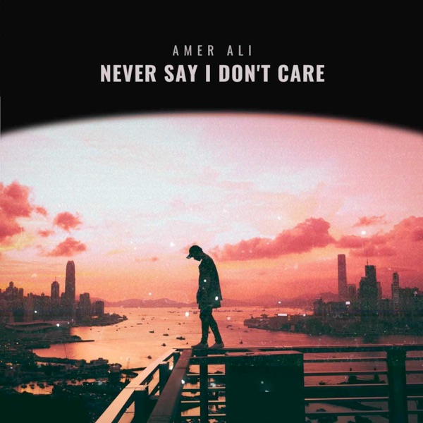 Never Say I Don't Care (feat. Patrick O'neill & Michael Small) - Single album cover