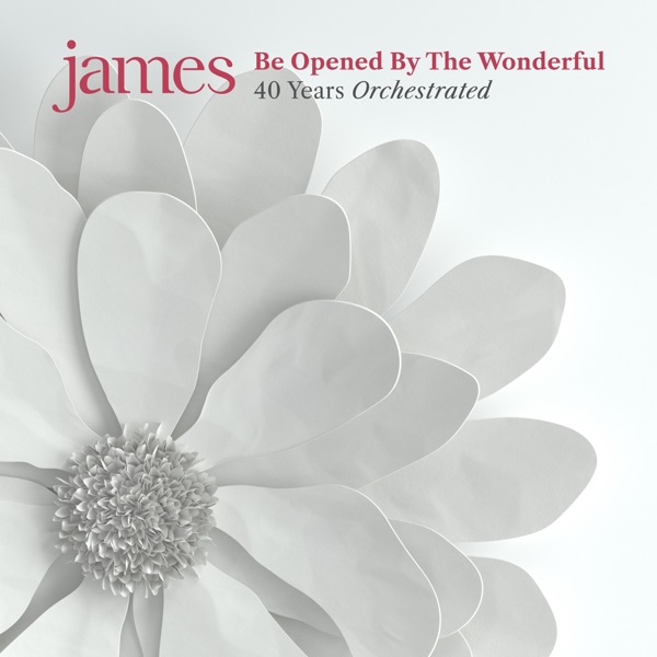 She’s A Star (Orchestral Version) - Single album cover