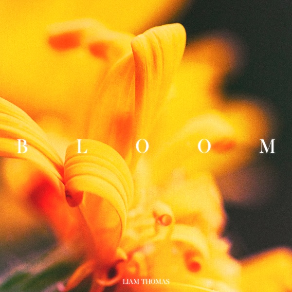 Bloom - Single album cover