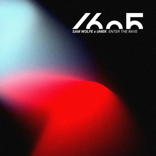 Enter the Rave (Radio Edit) - Single album cover