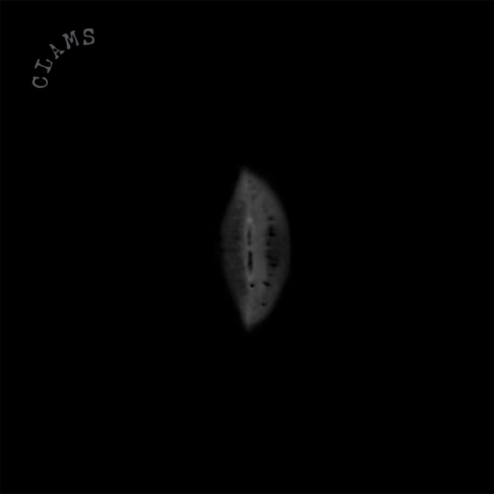 CLAMS album cover