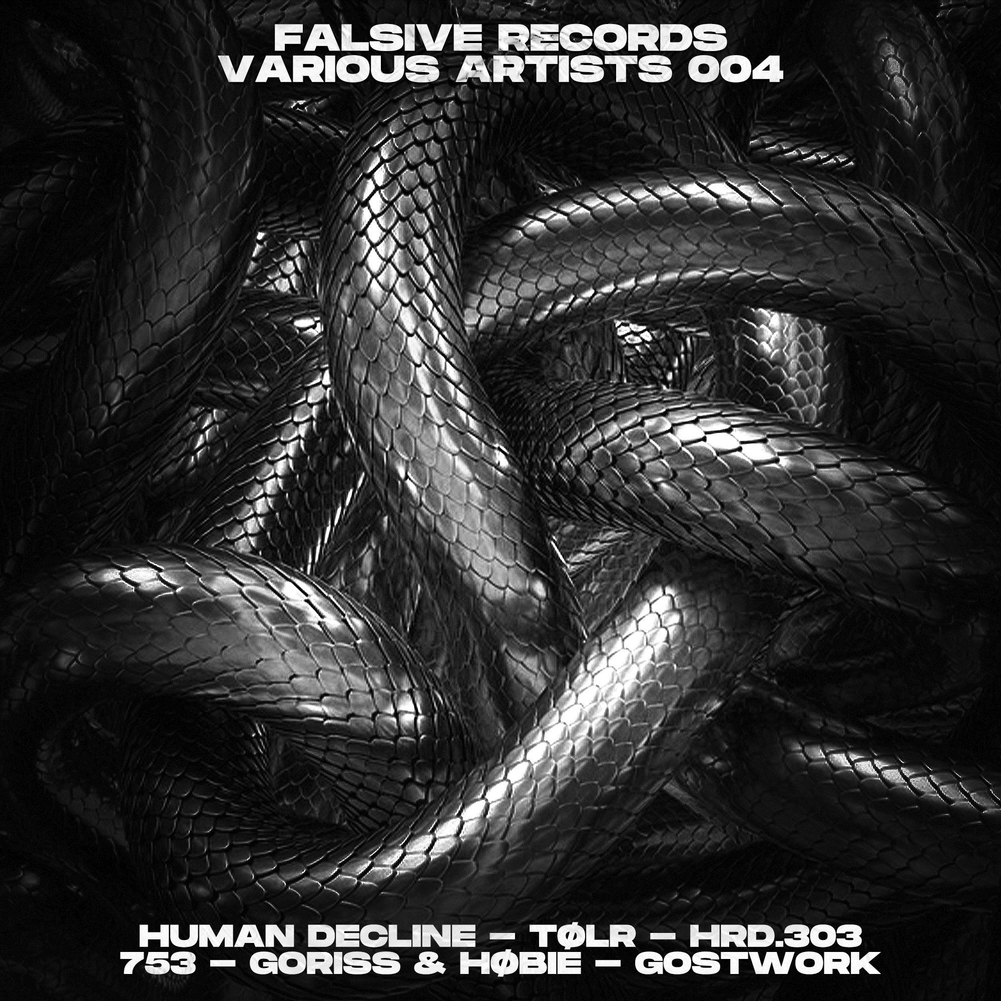 Falsive Records Va004 album cover