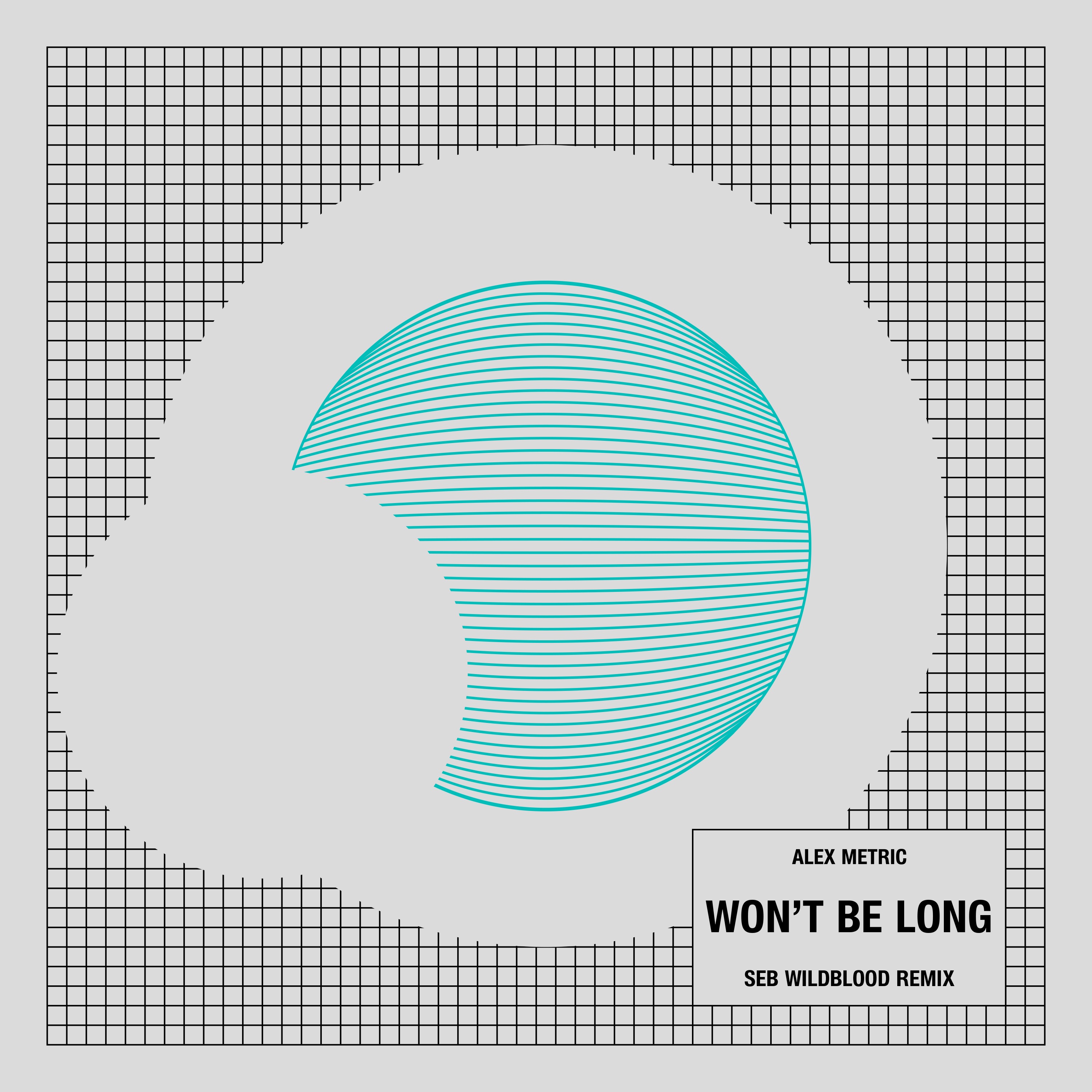 Won't Be Long (Seb Wildblood Remix) - Single album cover