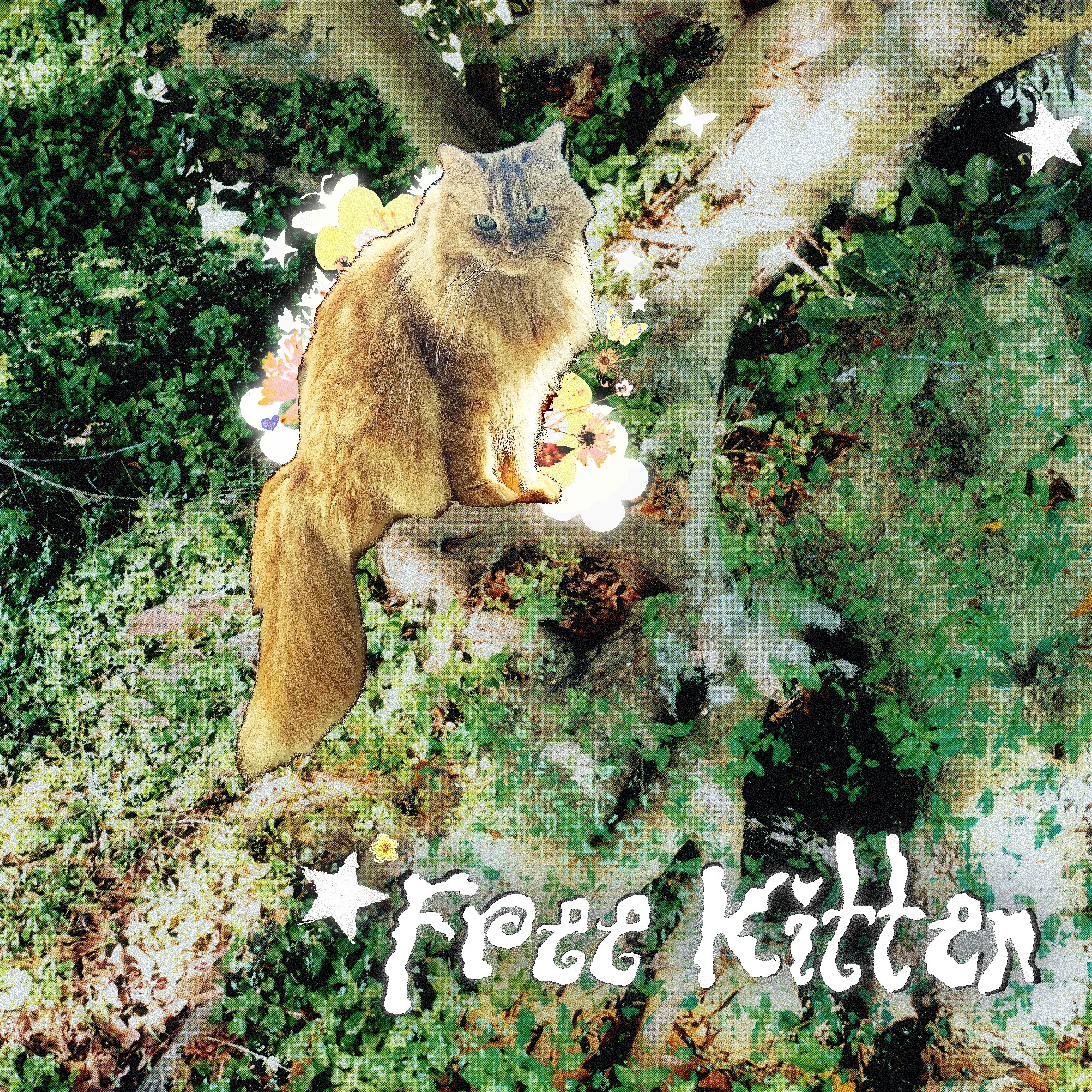Free Kitten - Single album cover