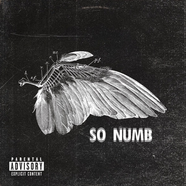 So Numb - Single album cover