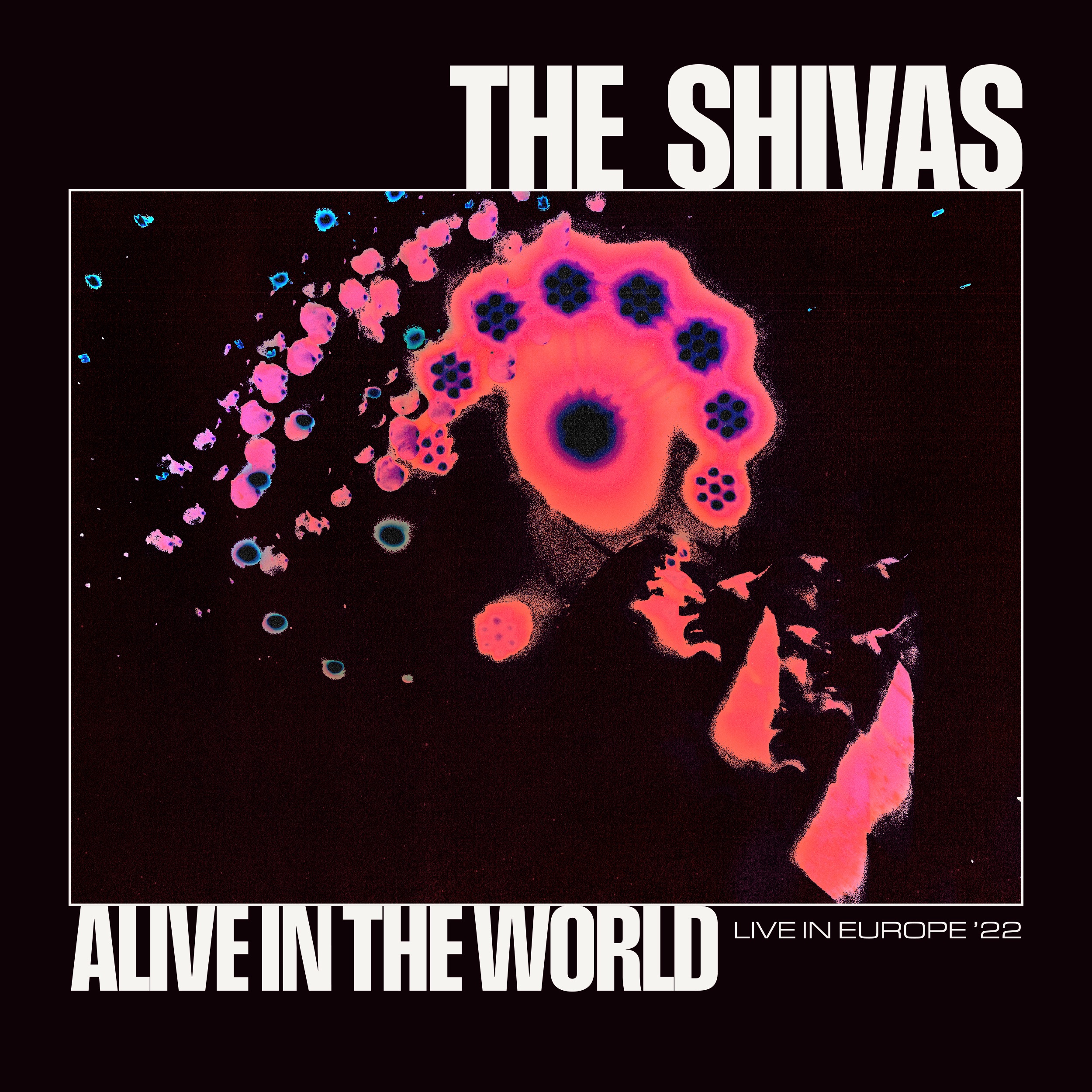 Alive in The World album cover