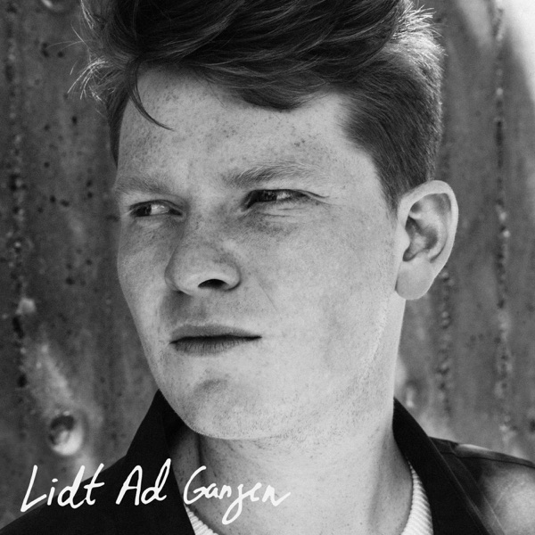 Lidt Ad Gangen - Single album cover