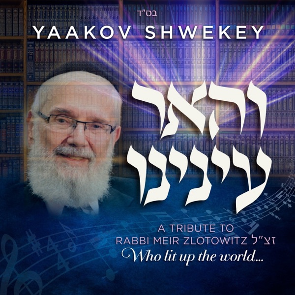והאר עינינו (A Tribute To Rabbi Meir Zlotowitz) - Single album cover