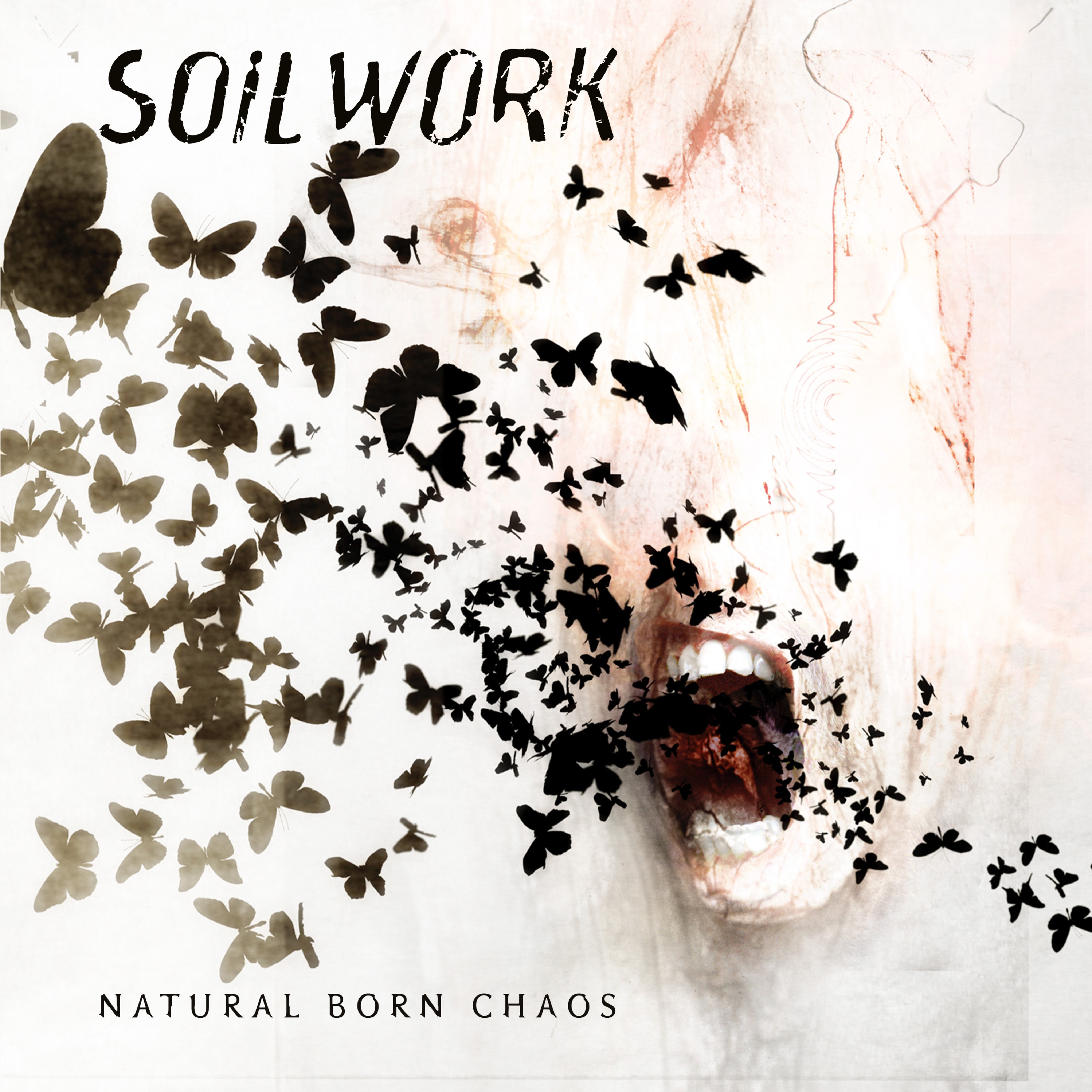 Natural Born Chaos album cover