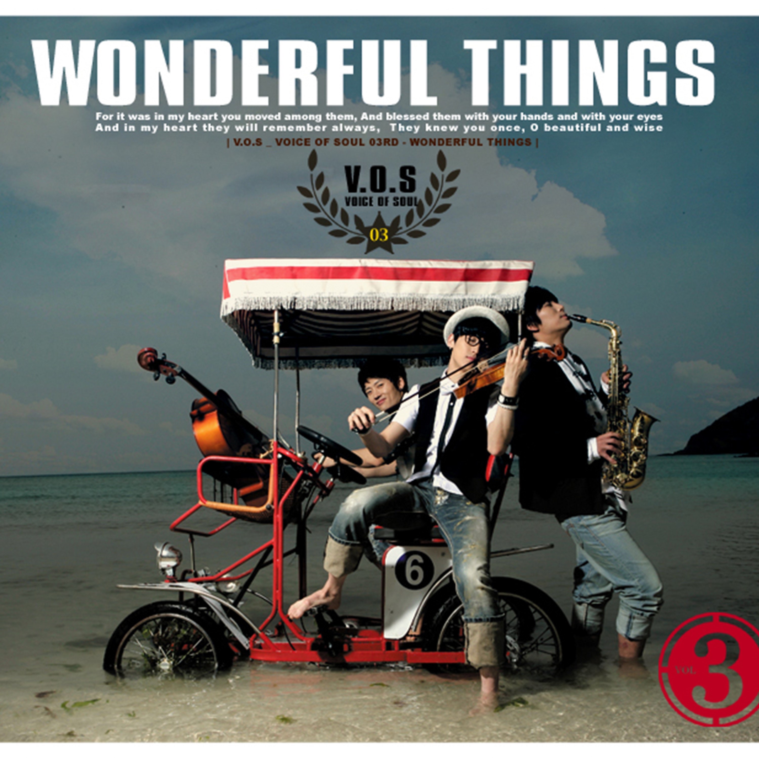 Wonderful Things album cover