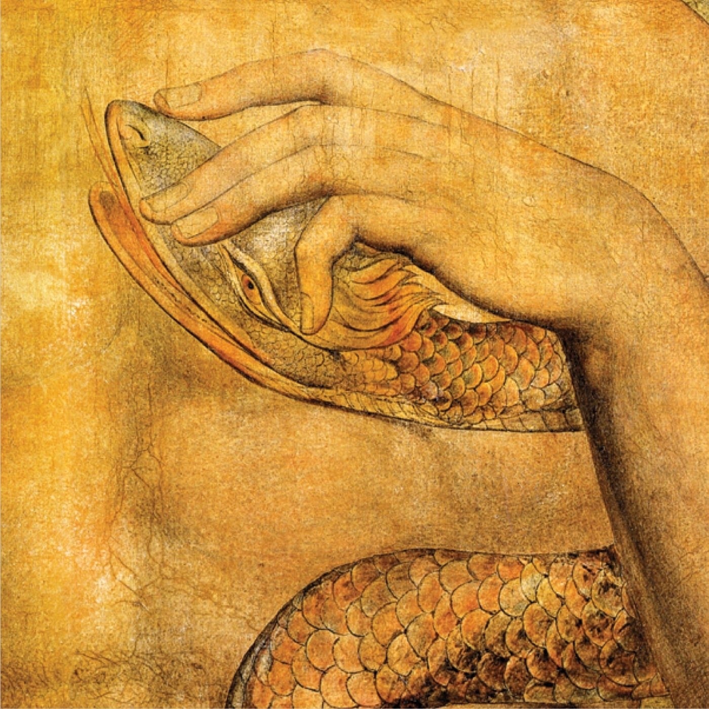 At the Gates of Paradise album cover