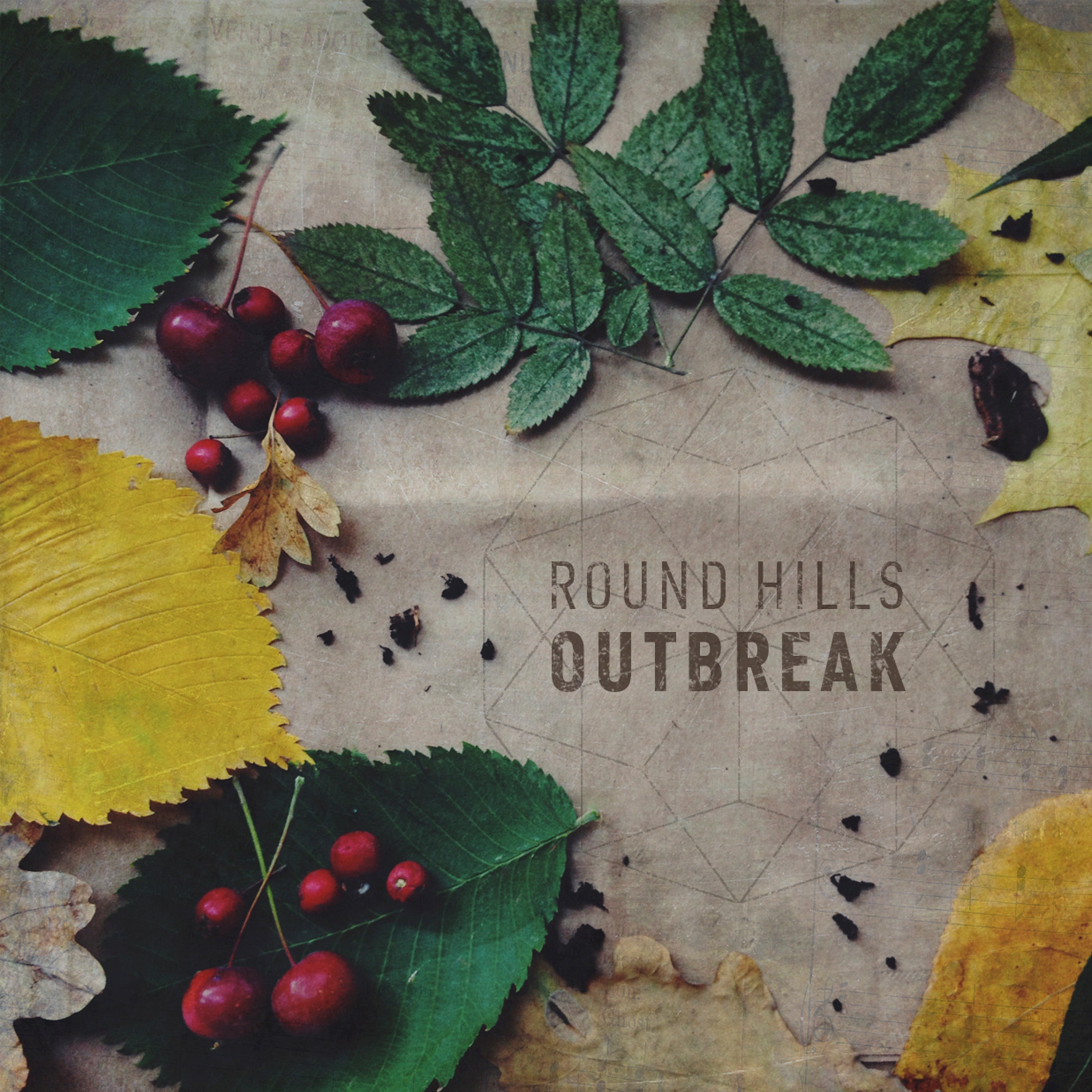 Outbreak album cover