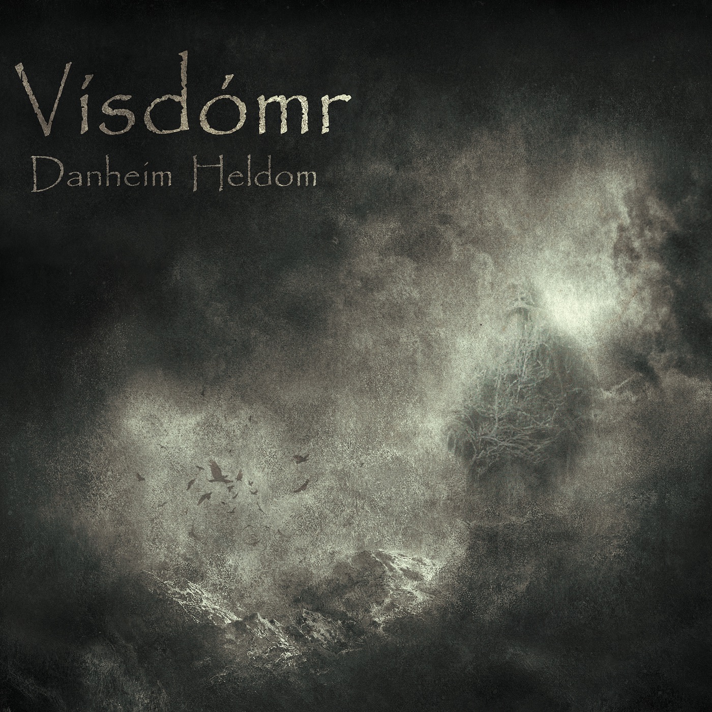 Vísdómr - Single album cover