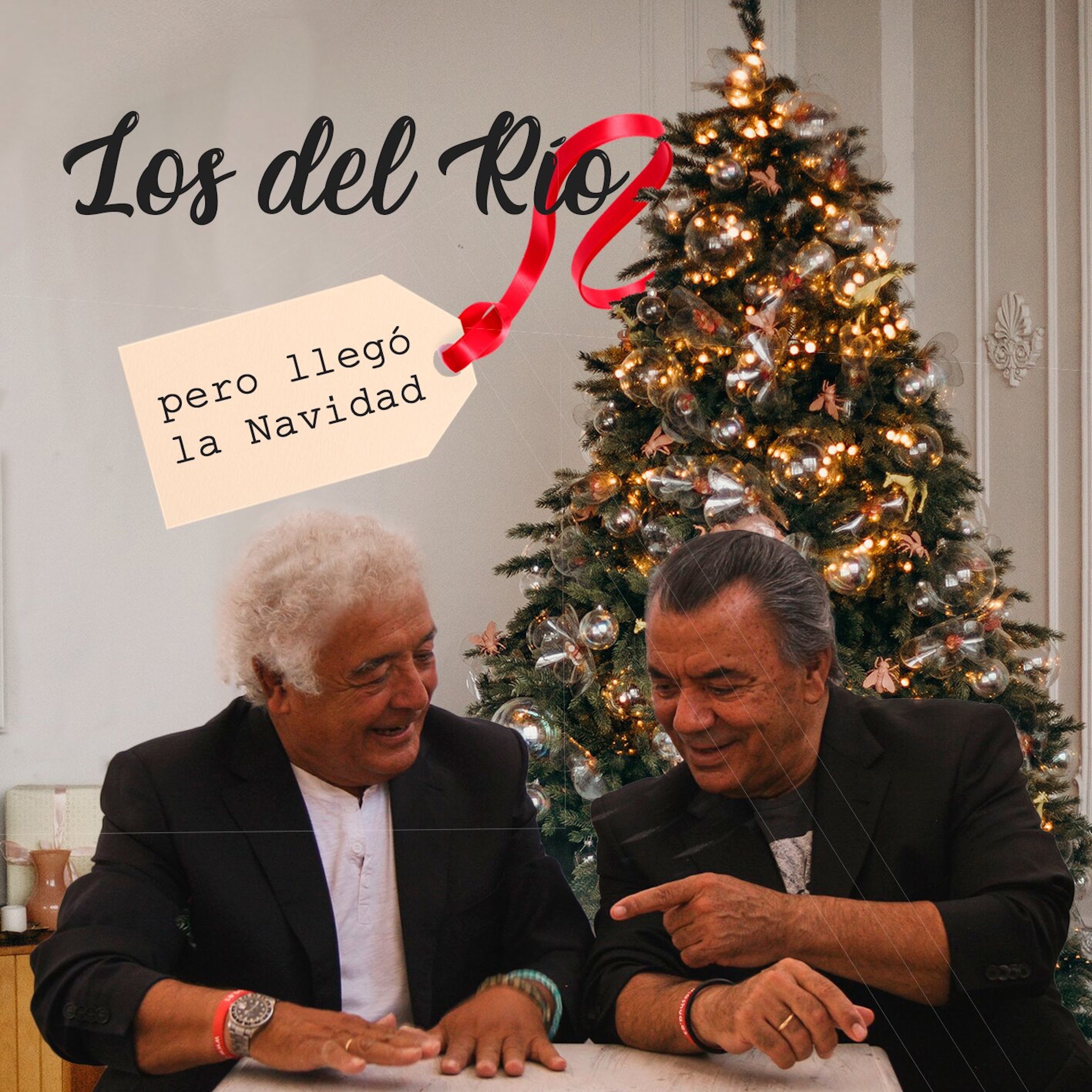 Pero Llegó la Navidad - Single album cover