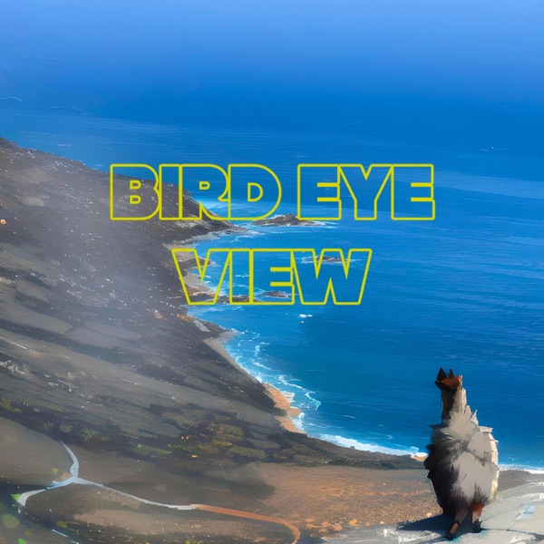 Bird Eye View (feat. Oddisee, G-Salih & Aidyproof) [Enhanced Version] - Single album cover