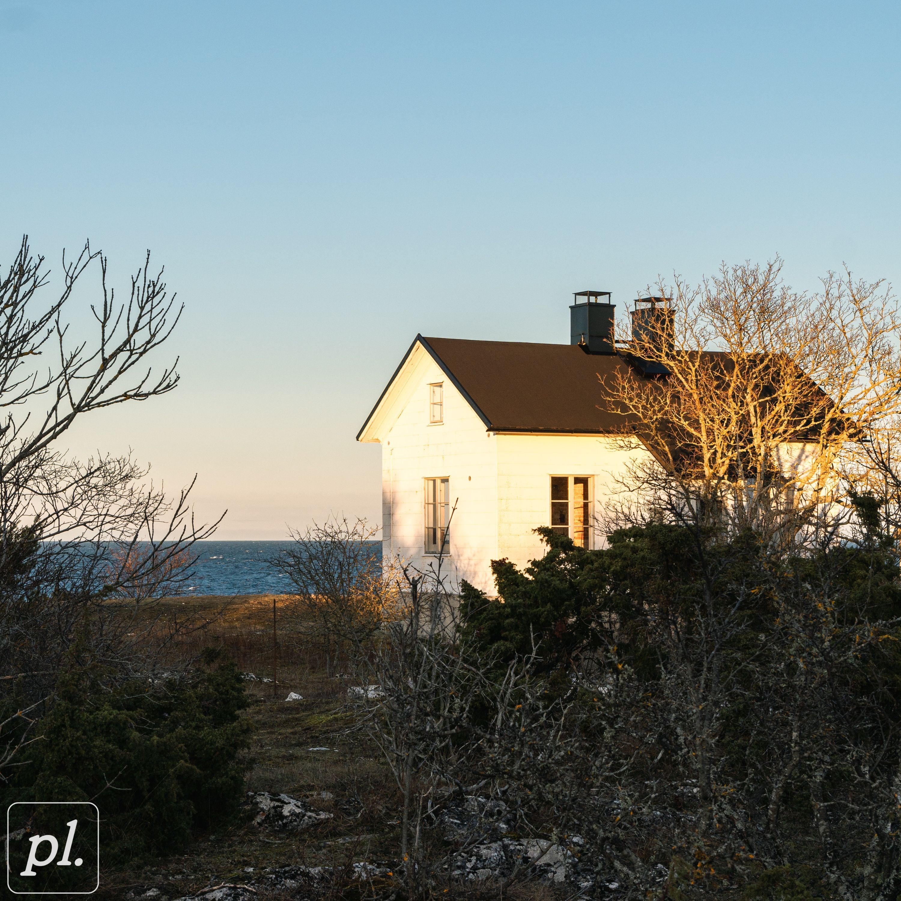 Whistle - Single album cover