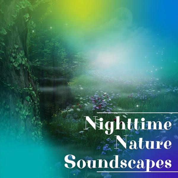 Nighttime Nature Soundscapes album cover