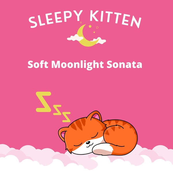 Soft Moonlight Sonata album cover