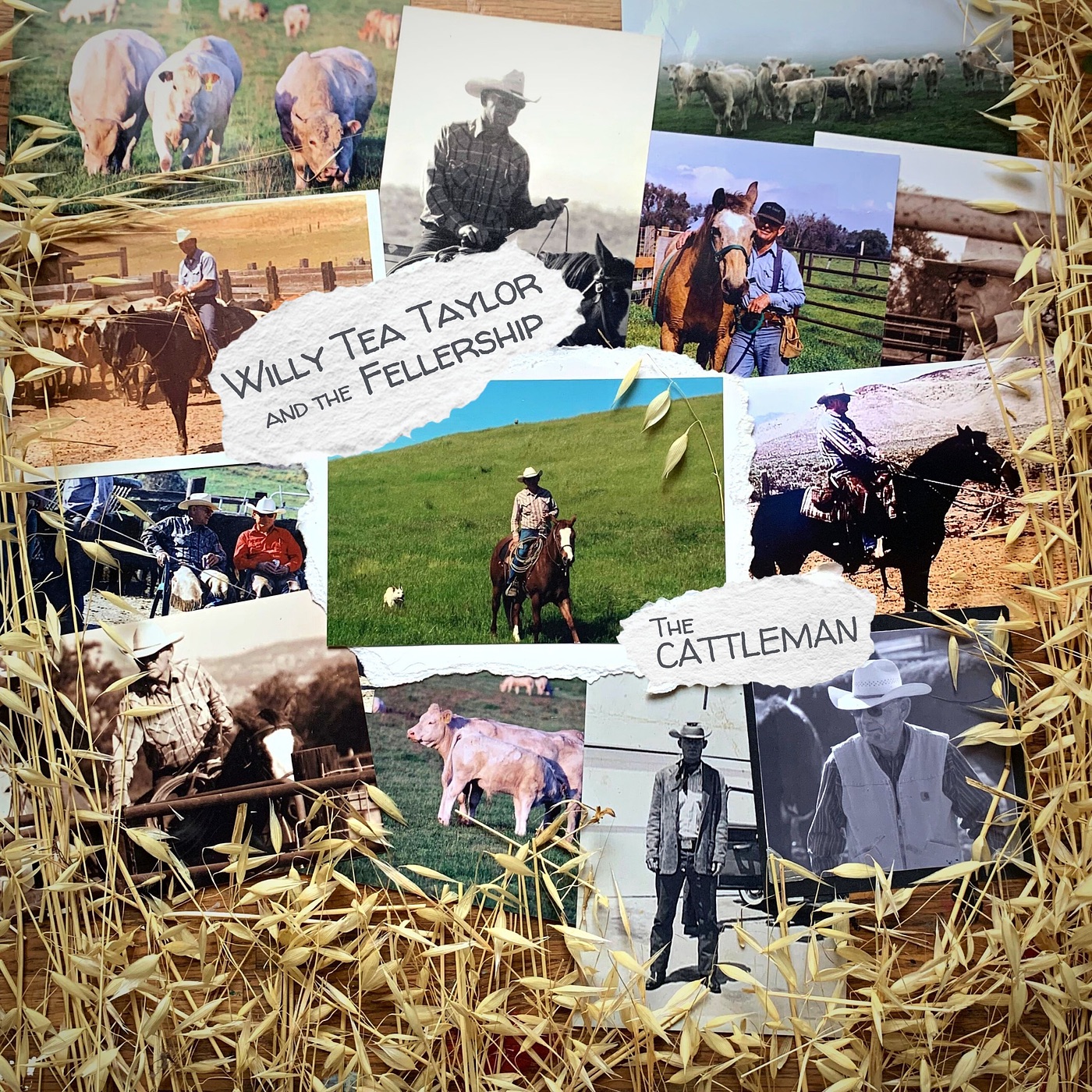 The Cattleman - Single album cover