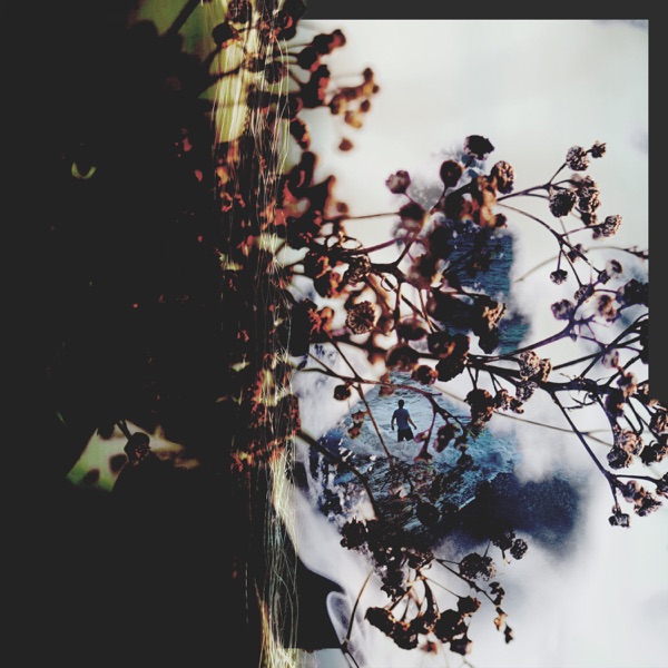 Hibernation - Single album cover