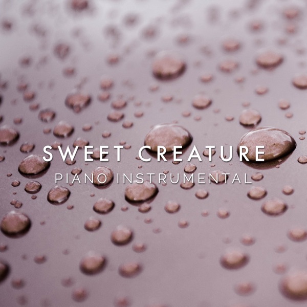 Sweet Creature (Piano Rendition) - Single album cover