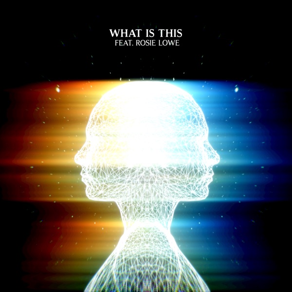 What Is This (feat. Rosie Lowe) - Single album cover