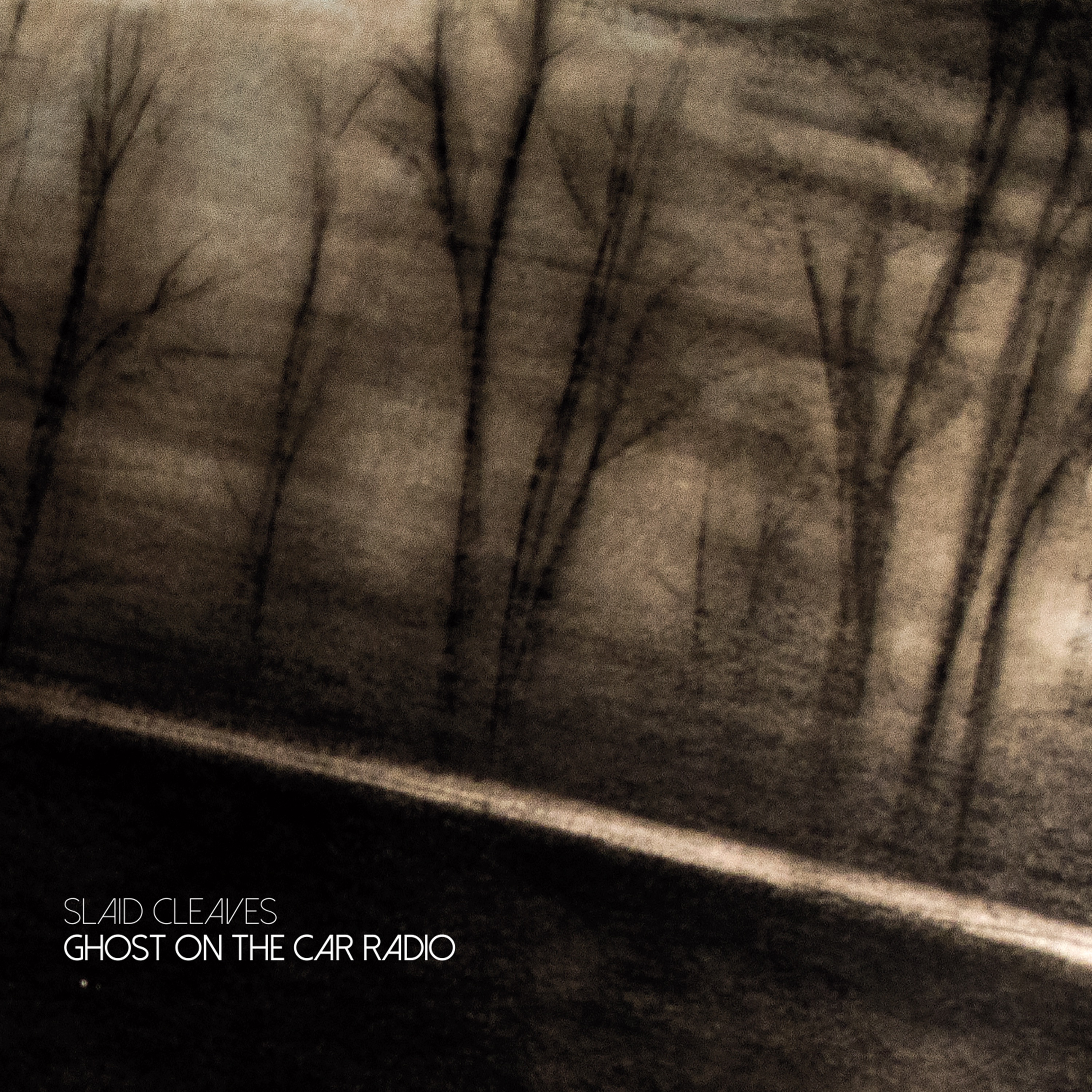 Ghost On the Car Radio album cover