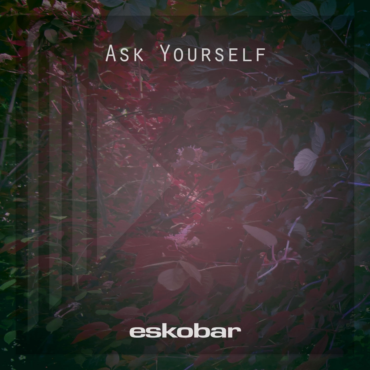 Ask Yourself - Single album cover