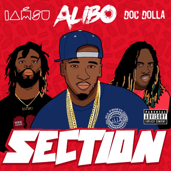 Section - Single album cover